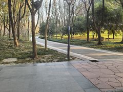 -蠡湖大桥公园