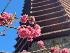 -玲珑塔公园