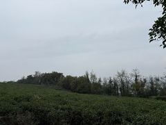 -南京市江宁方山