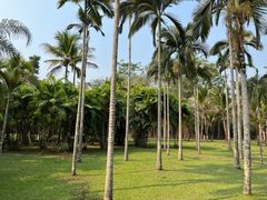 -中国科学院西双版纳热带植物园