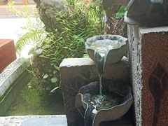 -龙翔山庄雷鸡肉(青城后山泰安古镇店)