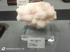 -湖南省地质博物馆
