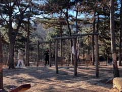 -北京西山国家森林公园