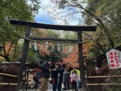 -野宫神社