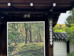 -西芳寺(苔寺)