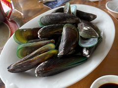 青口-肥舅父農莊