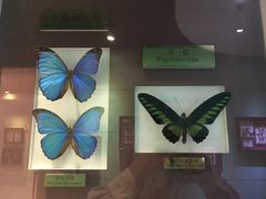 -上海昆虫博物馆