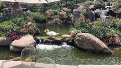 -兰瑜伽·普拉提