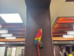 -观桥阁(锦溪店)