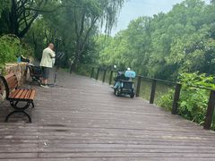 -新江湾城公园
