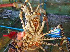 -明润海鲜(南边海店)