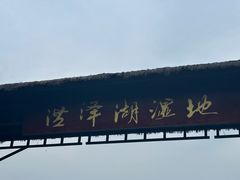 -泗洪洪泽湖湿地景区