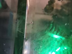 -望湘园湖南菜(赛格店)
