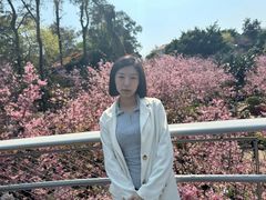 -狐尾山公园