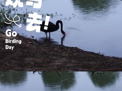 -瑶湖郊野森林公园