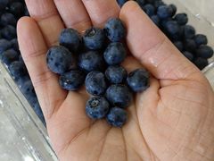 -山东大学(威海校区)