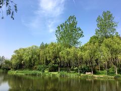 -新江湾城公园