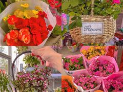 -金陵花卉交易市场