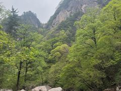 -青峰峡国家森林公园