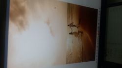 android_upload_pic-戛纳印象摄影(潮拍定制馆)