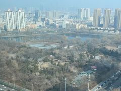 -君悦酒店·乐厨·高空自助餐(青年大街店)