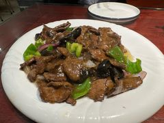 -邵年鸽(杨庄店)