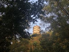 -深圳国际园林花卉博览园