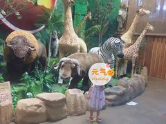 -济州岛泰迪熊博物馆