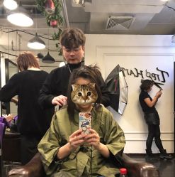 -Tipo Hair salon（明星）店