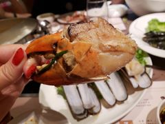-協成海鮮火鍋(老店)