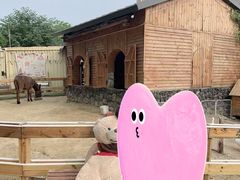 -HERRE·FARM 赫尔露营农场·团建聚会包场