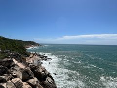 -广东惠东海龟国家级自然保护区