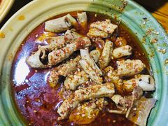 -高记什邡肖麻辣(成都店)