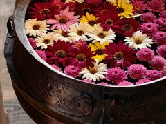 -松赞香格里拉林卡酒店