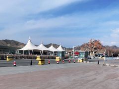 -新疆天山野生动物园