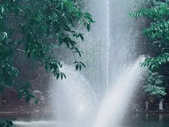 -上海共青森林公园