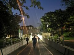 -尚贤河湿地