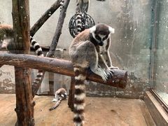 -北京动物园-畅观楼