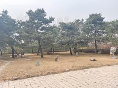 -清西陵