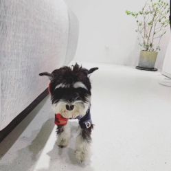 -优加东京秀烫染SALON