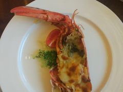 -广州凤凰城酒店-维也纳西餐厅