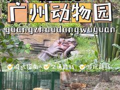 -广州动物园