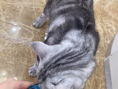 -宠颐生宠物医院·综合诊疗(先锋分院)