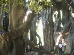 -横店影视城梦幻谷园区