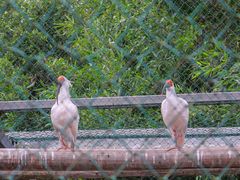 -下渚湖·湿地公园