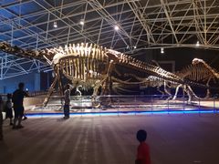 -世界恐龙谷景区