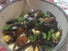 -TOMATITO(无限极荟店)