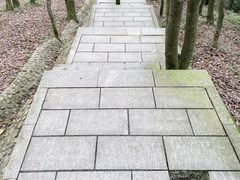 -阳台山森林公园