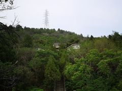 -白水寺森林公园