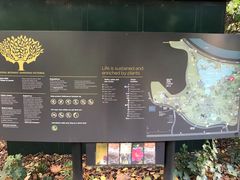 -墨尔本皇家植物园